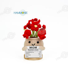 Load image into Gallery viewer, 4