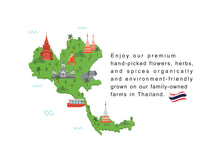 Load image into Gallery viewer, 4