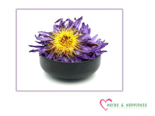 Load image into Gallery viewer, 1