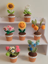 Load image into Gallery viewer, 8