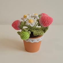 Load image into Gallery viewer, 5