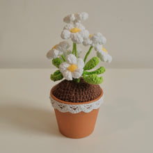 Load image into Gallery viewer, 6