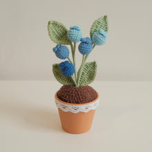 Load image into Gallery viewer, 7