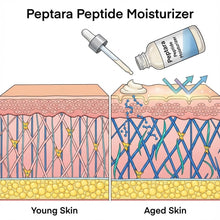 Load image into Gallery viewer, Peptara Peptide Moisturizer |Hydrating Anti-Aging Face Cream | 1.7 fl oz