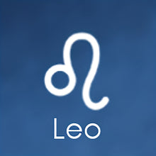 Load image into Gallery viewer, 4