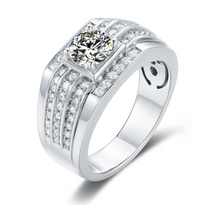 Load image into Gallery viewer, 1