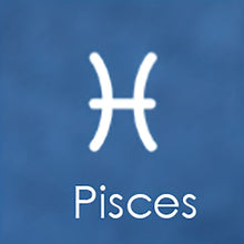 Load image into Gallery viewer, 11