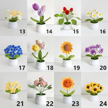 Load image into Gallery viewer, 2