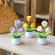 Load image into Gallery viewer, 0