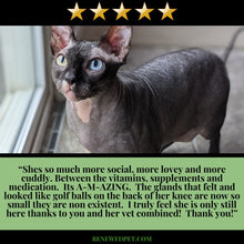 Load image into Gallery viewer, 2