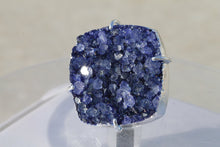 Load image into Gallery viewer, 11