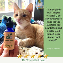 Load image into Gallery viewer, 1