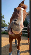 Load image into Gallery viewer, 2