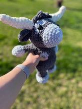 Load image into Gallery viewer, 3