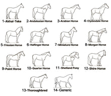 Load image into Gallery viewer, 2