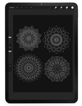 Load image into Gallery viewer, 1