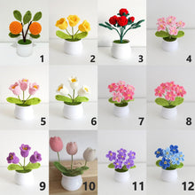 Load image into Gallery viewer, 13