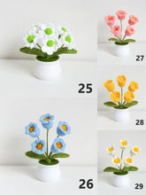 Load image into Gallery viewer, 15