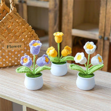 Load image into Gallery viewer, 6