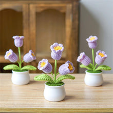 Load image into Gallery viewer, 11