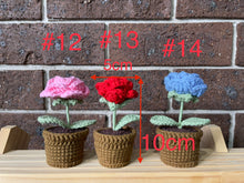 Load image into Gallery viewer, 12