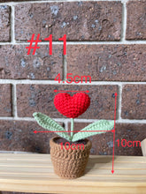 Load image into Gallery viewer, 11