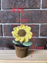 Load image into Gallery viewer, 13