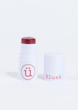 Load image into Gallery viewer, Makeup Essential Kit (6 Pieces Total)
