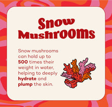 Load image into Gallery viewer, Fungdation - Mushroom Foundation
