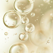 Load image into Gallery viewer, Seroja Nourishing Jojoba Face Oil |Hydrating Facial Oil | 1 fl oz
