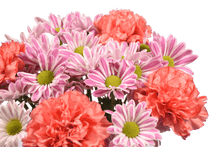 Load image into Gallery viewer, 3

