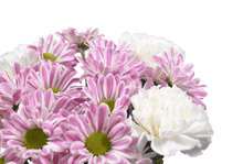 Load image into Gallery viewer, 2
