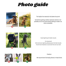 Load image into Gallery viewer, 3
